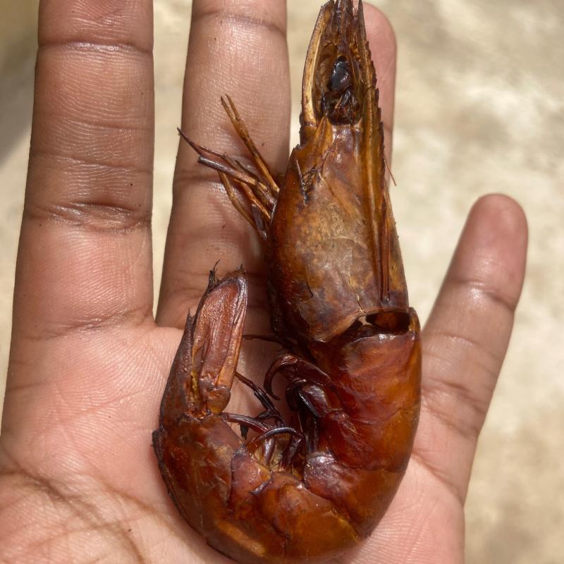 Salle de fumer en acier inoxydable pour le thon Filet de poisson  poisson-chat et de la saucisse - Chine Machine à fumer, le tabagisme Four